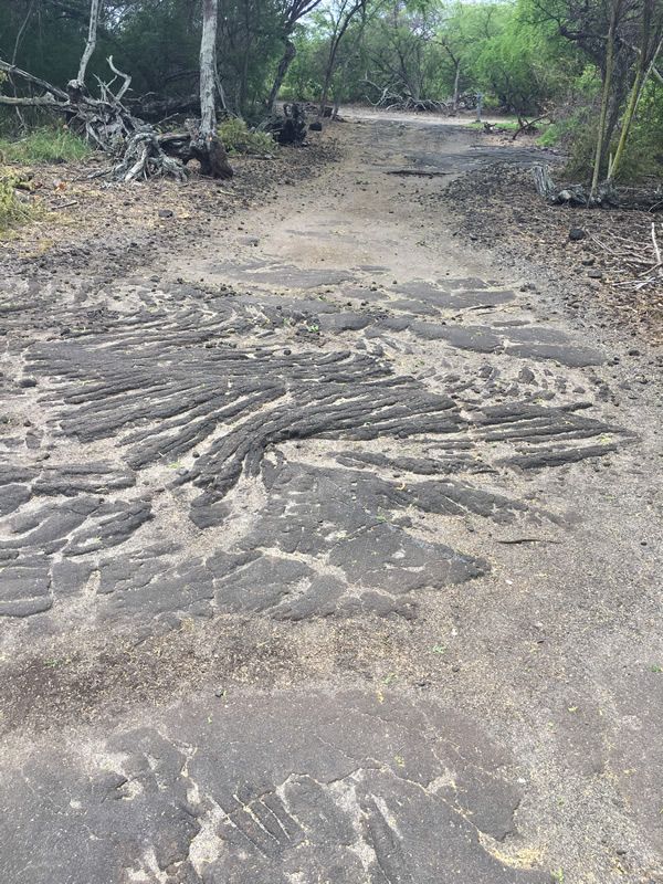 Kaloko-Honokōhau National Historical Park